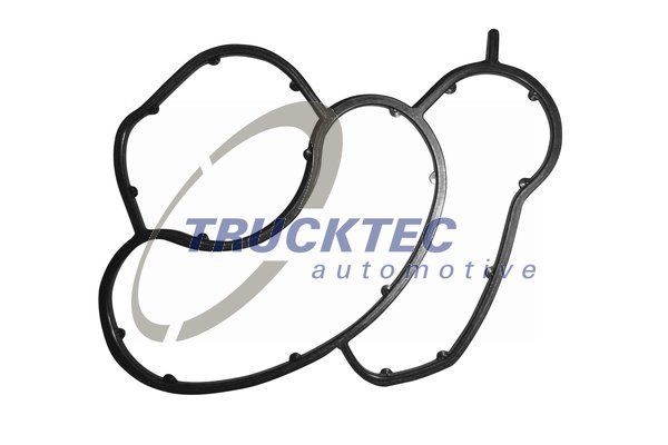 TRUCKTEC AUTOMOTIVE Прокладка, корпус маслянного фильтра 08.10.054